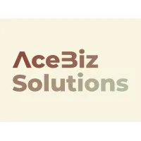 Ace Biz Solutions