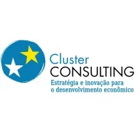 CLUSTER CONSULTING