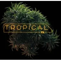 TROPICAL FX