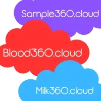 MSoft eSolutions Ltd MSoft eSolutions Ltd