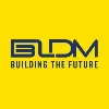 BLDM, LLC BLDM, LLC