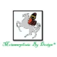 VITAL CONCEPTS &  DESIGNS LLP