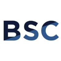 Business & Systems Consulting 