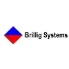 Brillig Systems Brillig Systems