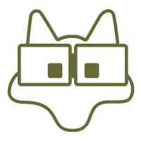 VWolves Solutions Incorporated