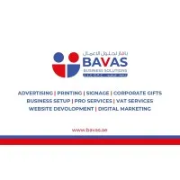 Bavas Business Solutions LLC - OPC