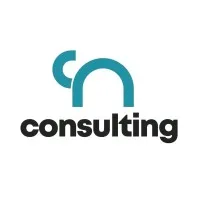 Cn Consulting