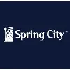 Spring City Electrical