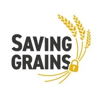 Saving Grains Saving Grains