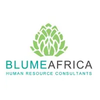 BlumeAfrica Ltd