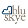 Blu Skye Consulting Blu Skye Consulting