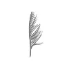 Feather Creative Feather Creative