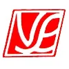 Veeyes Electronics