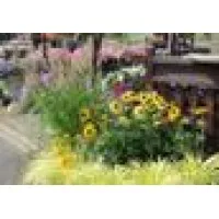 Down To Earth Nursery