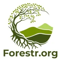 Forestr.org