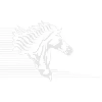 Stallion Consultants