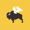 Buffalo Wild Wings Buffalo Wild Wings