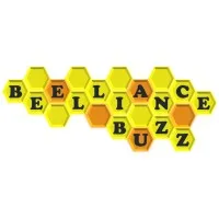 Beelliance Buzz Private Limited