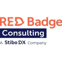 Red Badge Consulting, Inc.