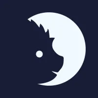 Hedgehog Amsterdam, Netherlands Hedgehog Amsterdam, Netherlands