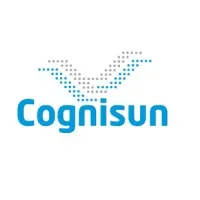 Cognisun Inc.