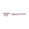 Virginia Tech National Security Institute Virginia Tech National Security Institute