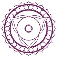 Vêtements Mandala Vêtements Mandala