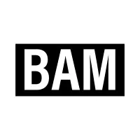 BAM Enterprises, Inc.