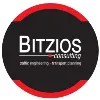 Bitzios Consulting Bitzios Consulting
