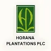 Horana Plantations PLC (Hayleys Plantations) Horana Plantations PLC (Hayleys Plantations)