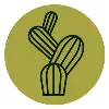 Cactus Food Group