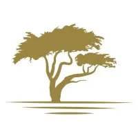 Lone Cypress Wealth Management