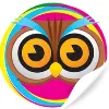 Petshop Indonesia Petshop Indonesia
