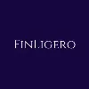 FinLigero Consulting FinLigero Consulting