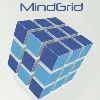 MindGrid Technologies MindGrid Technologies