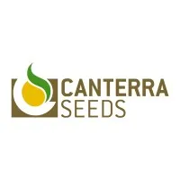 CANTERRA SEEDS