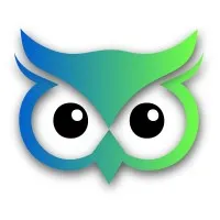 LedgerWise AI