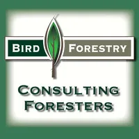 Bird Forestry