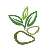 Sapling Partners Sapling Partners