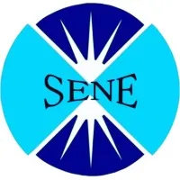 SENE PTE LTD