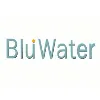 BluWater Consulting BluWater Consulting
