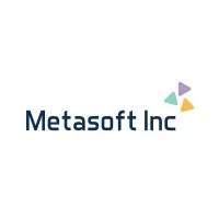 Meta Soft Inc Meta Soft Inc