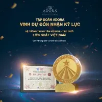 The ADORA | DONG PHUONG GROUP