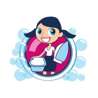 The Laundry Lady The Laundry Lady