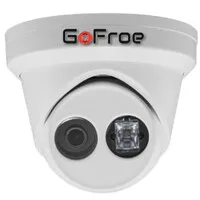 GoFroe
