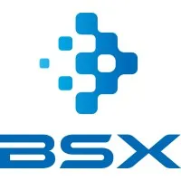 BSX Corporation