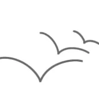 WILD WEB WIDGET WILD WEB WIDGET