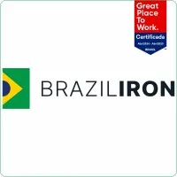 Brazil Iron