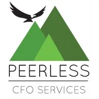 PEERLESS CFO SERVICES LLC