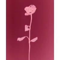 The Imagine Center for Psychological Health